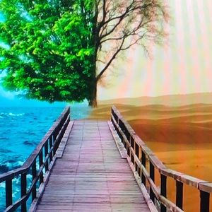 Meet your Posher, Irving